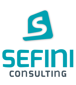 Sefini Consulting
